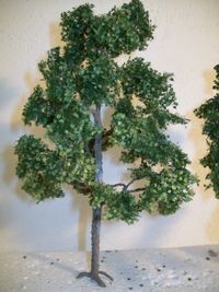 Mittlerer Baum mit Ahornmattenbelaubung von Mininatur